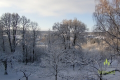 winter_ausblick